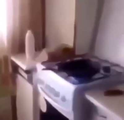 Cooking Tutorial 101