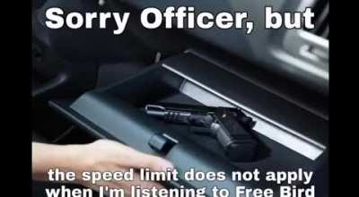 Gun laws? Speed limits? Doesn't exist when Free Bird is on