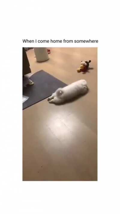 Sleeping Mode: activated