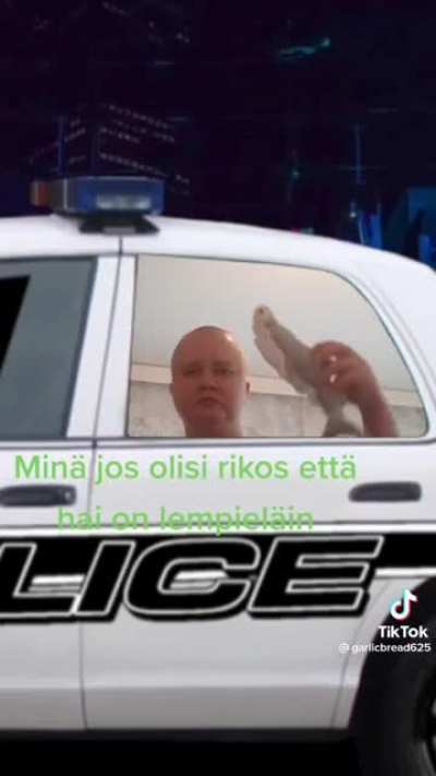 mina🦈irl