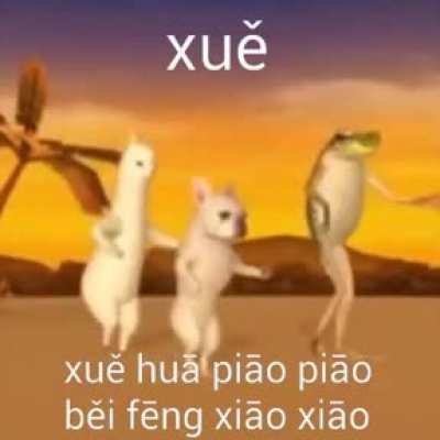 xue hua piao piao😭😭