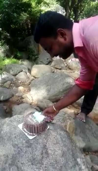 Birthday celebration in jungle