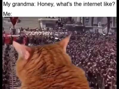 We basically worship cats here