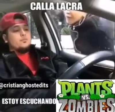 Calla lacra
