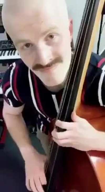 Mario IRL