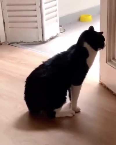 Pom