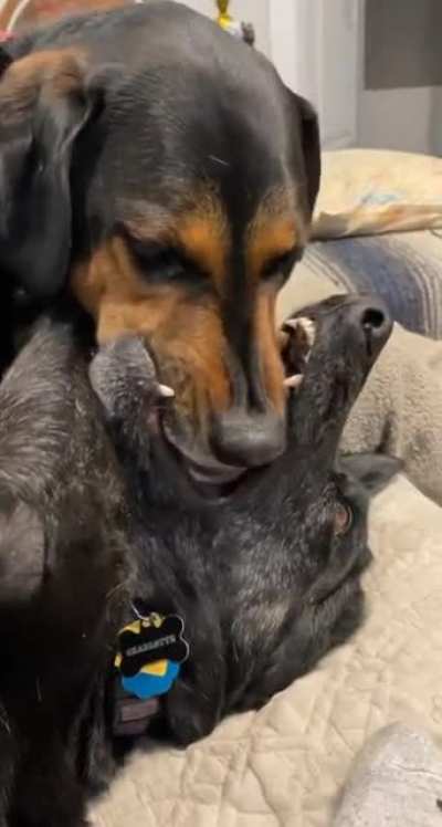 Don’t mind me