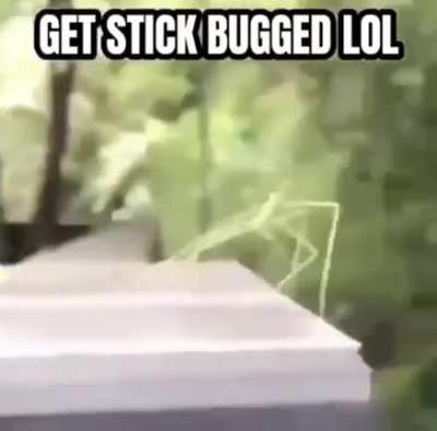Ok