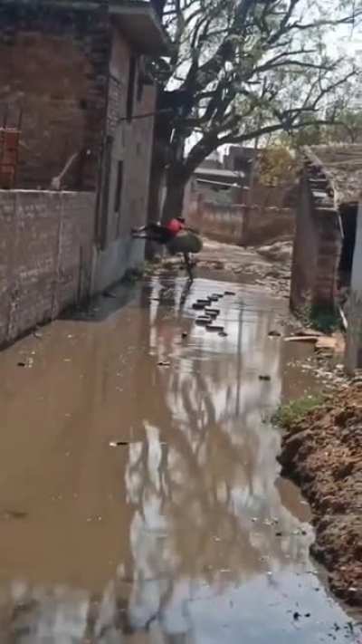 Just a normal day in India