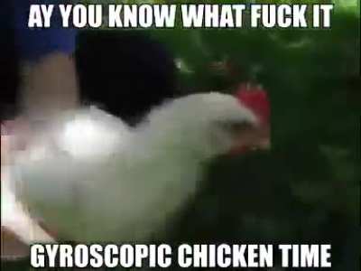 Pollo giroscopio