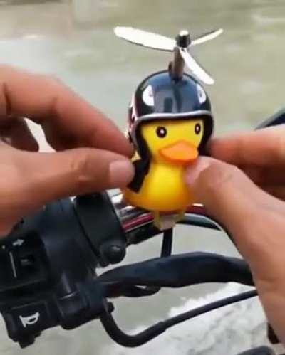 Born to be wild