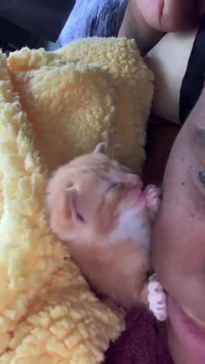 wait for the sneeze !! 🤧🥺