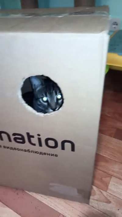 Gloryhole