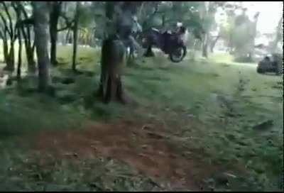 Looks pretty fun