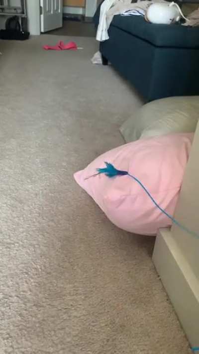 If you blink you’ll miss it