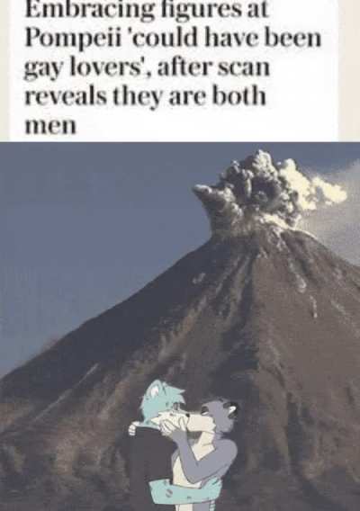 Furry_irl