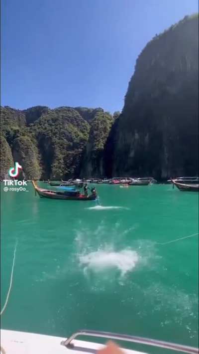 splash