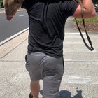 My hot dog after walking for 20 minutes