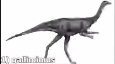 top 308 best dinosuars !!