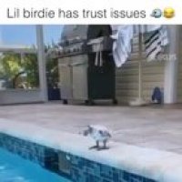 Trust issues
