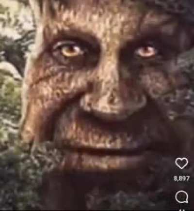 You may