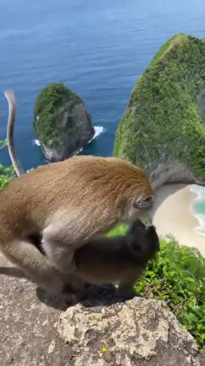 Un buen paisaje