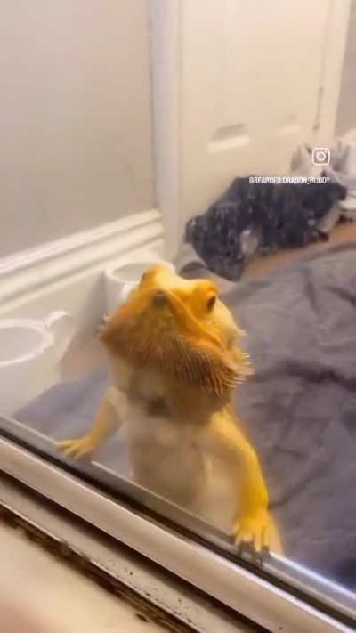 😂😂