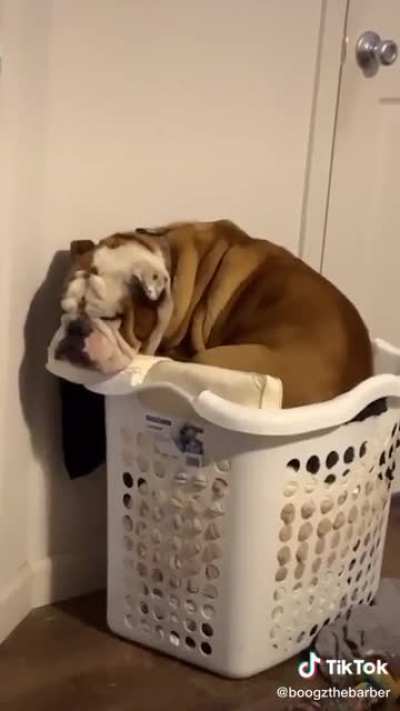 This looks like a comfy spot