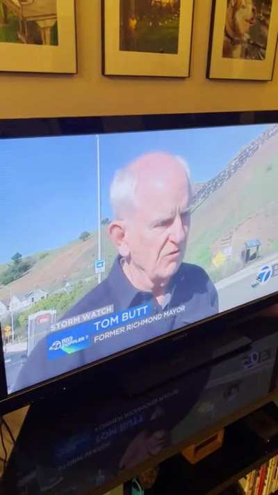 In local news: Mr. Butt assesses a crack