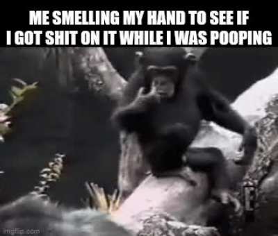Monkey made a mistake