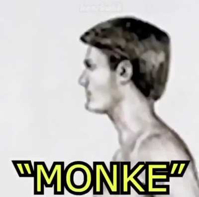 Monke