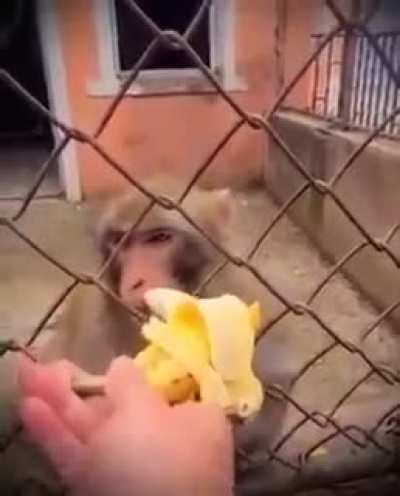Not in the Mood