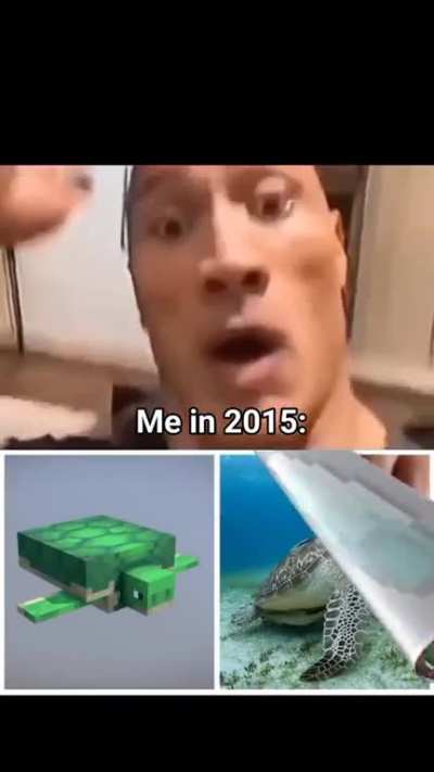 eu_nvr