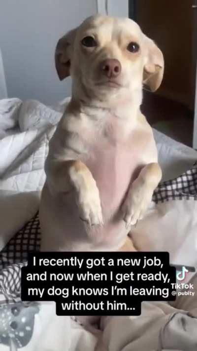 Please stay!