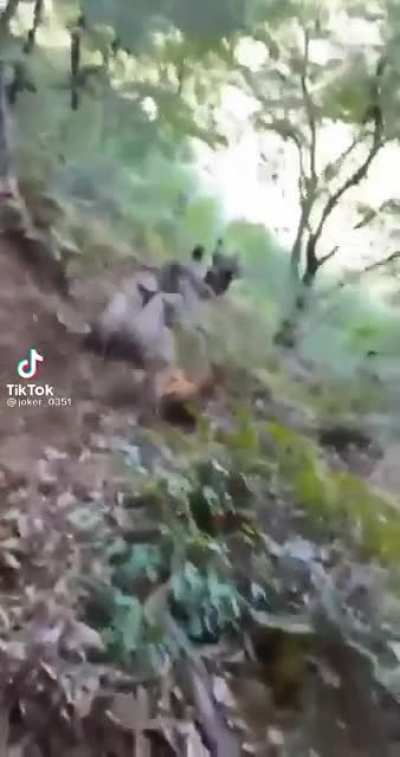 What an amazing app