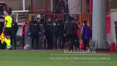 Dog interrupts first tier football game to play with match ball