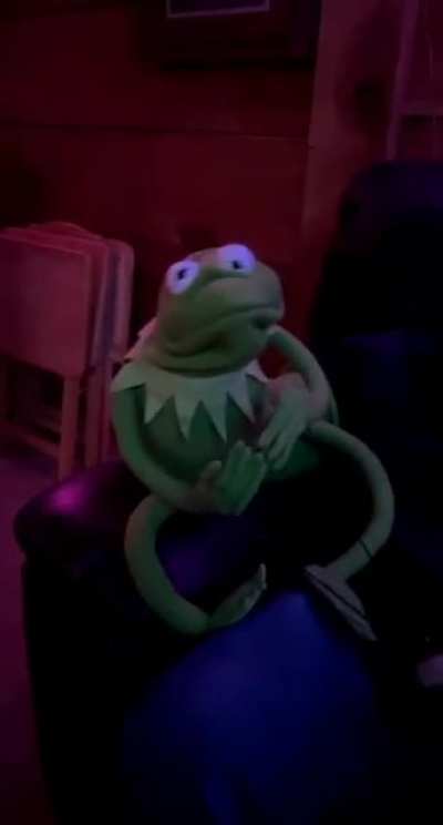 My friend's homemade kermit