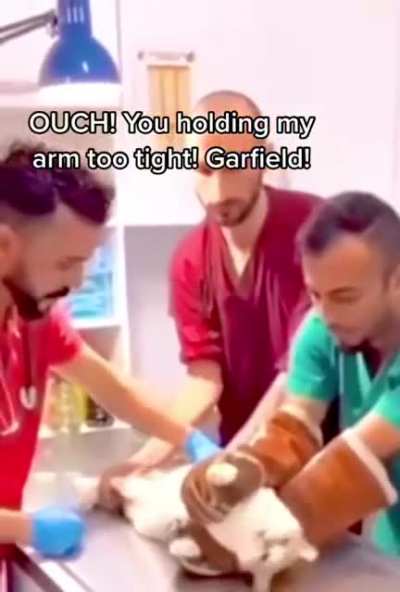 Garfield NOOO…