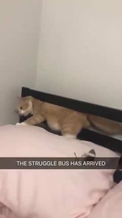 OH LAWD HE STUCK