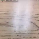 Kid in Orange fucks up other kid for stealing his brothers phone