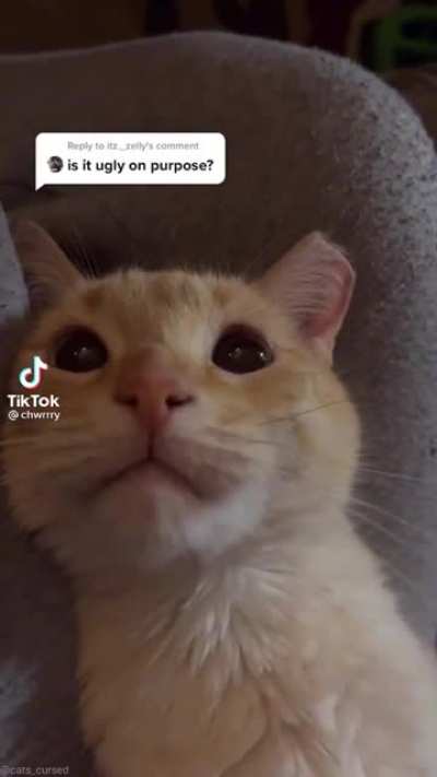 he is not ugly