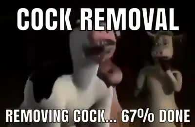 Cock removed