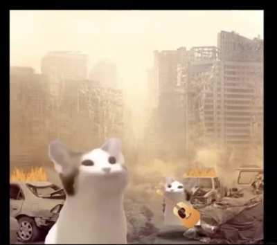 ‎