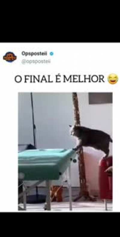 Nada supera esse final🤣