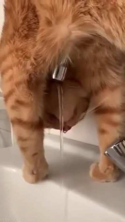 Having a drink