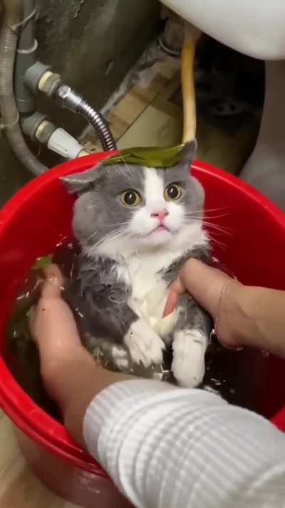 Bath Time Panic