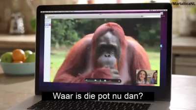 ik_ihe