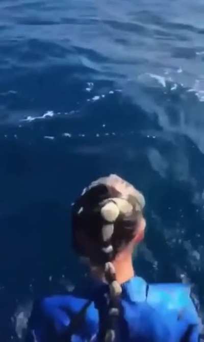 Пойдем купаться!