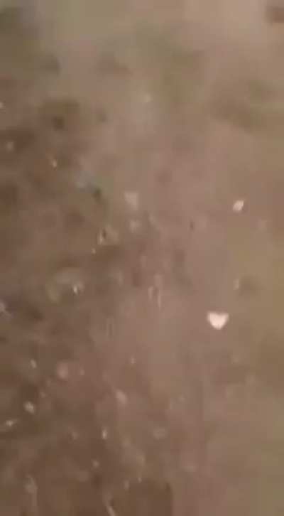 Found this r/crazyfuckingvideos , looks like some village from Tamilnadu.