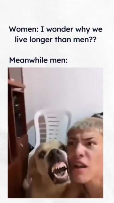 Drum&Dog